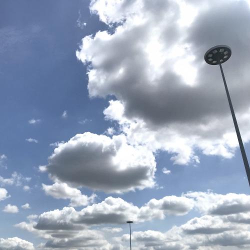 Open call per Mondo Novo, il progetto di Virgilio Sieni per Teatro Contatto