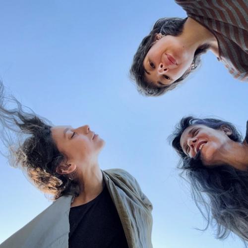 Cerchiamo persone interessate a partecipare a un pomeriggio di pratiche performative con Ateliersi per Dialoghi - Residenze a Villa Manin