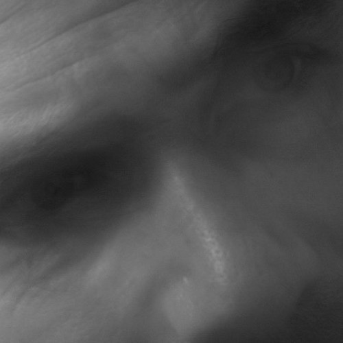 Luigina Tusini espone a Pordenonelegge.it