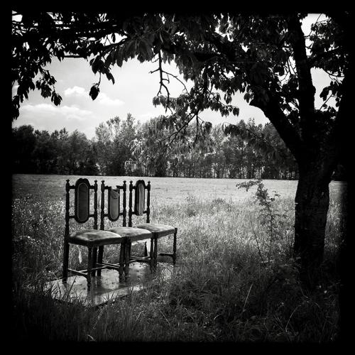 Premio Scenario 2021