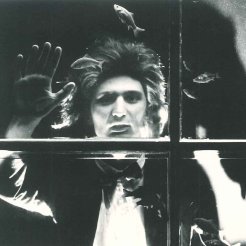 Il desiderio preso per la coda